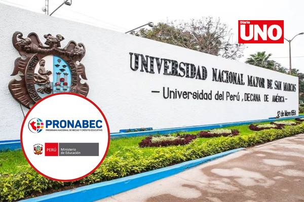 Copia de MODELO DIARIO UNO (38)