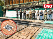 Vicente Tiburcio presenta decomiso de más de 1500 kilos de droga en operativo en Chilca
