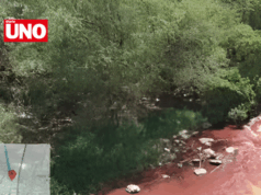 Alcalde de Huánuco investigado por contaminar río Huallaga con sangre de matadero municipal