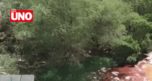 Alcalde de Huánuco investigado por contaminar río Huallaga con sangre de matadero municipal