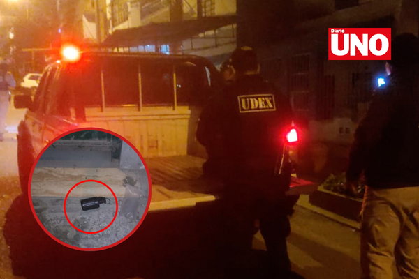 Copia de MODELO DIARIO UNO (47)