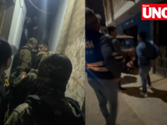 Caen ‘Los Intocables de Huacho’: red que vendía brevetes falsos por hasta S/4,500