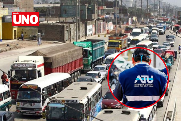 Copia de MODELO DIARIO UNO (7)