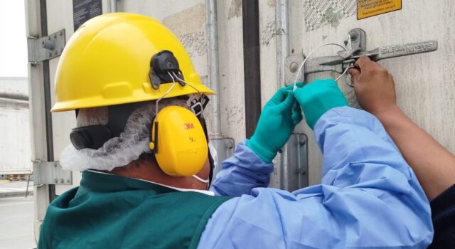 MIDAGRI: Perú concreta su primer envío de pavo a Panamá y consolida la recuperación de sus exportaciones avícolas