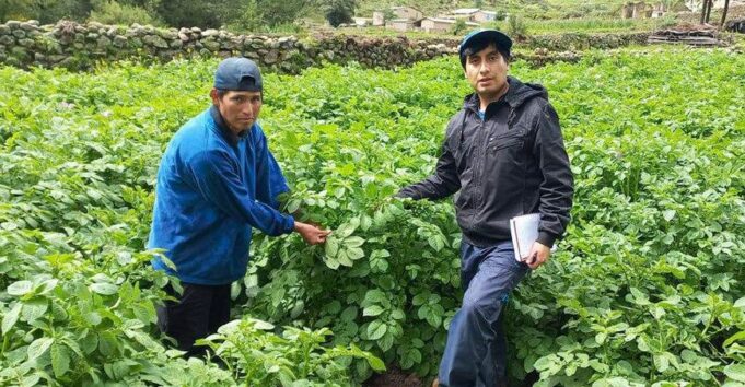 MIDAGRI: Gobierno tiene activo el Seguro Agrícola (SAC) 2025-2026 ante eventos climáticos a nivel nacional