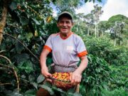 MIDAGRI: pequeños productores siguen consolidando las exportaciones de café