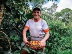 MIDAGRI: pequeños productores siguen consolidando las exportaciones de café