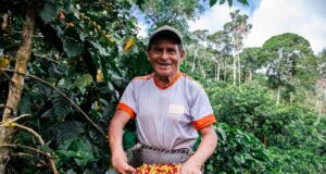 MIDAGRI: pequeños productores siguen consolidando las exportaciones de café