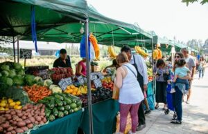 Alimentación y salud preventiva con Agroferias campesinas