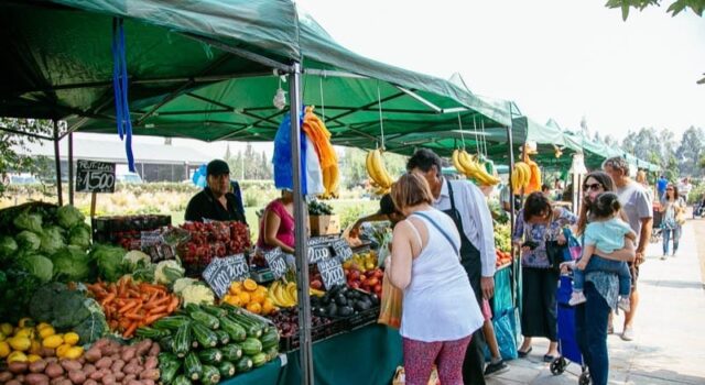 Alimentación y salud preventiva con Agroferias campesinas