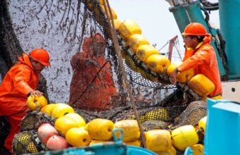 Segunda temporada de anchoveta Norte-Centro alcanza más del 72 % de avance de la cuota autorizada