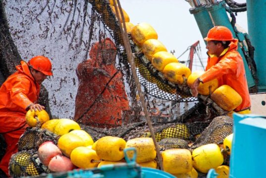 Segunda temporada de anchoveta Norte-Centro alcanza más del 72 % de avance de la cuota autorizada