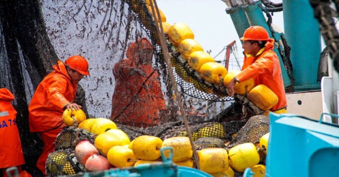 Segunda temporada de anchoveta Norte-Centro alcanza más del 72 % de avance de la cuota autorizada