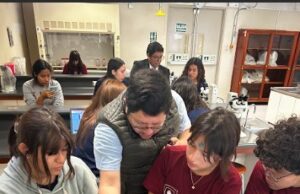 Verano para descubrir: cómo la curiosidad impulsa el aprendizaje en los niños de primaria