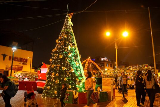 San Luis brilla más en Navidad en parques y plazas