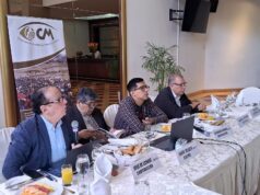 El 1% de titulares mineros en Perú concentra el 50% de concesiones