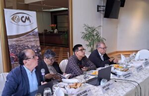 El 1% de titulares mineros en Perú concentra el 50% de concesiones
