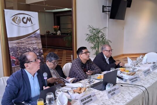 El 1% de titulares mineros en Perú concentra el 50% de concesiones