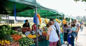 Alimentación y salud preventiva con Agroferias campesinas