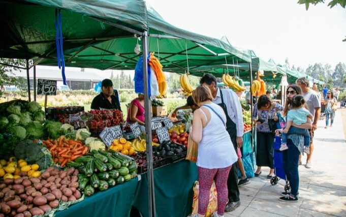 Alimentación y salud preventiva con Agroferias campesinas