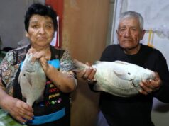 Historias que nos unen: sabor y magia de verano