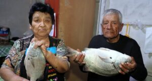 Historias que nos unen: sabor y magia de verano