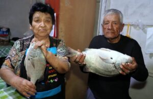 Historias que nos unen: sabor y magia de verano