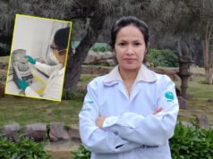 UNALM: investigadora aprovecha la cascarilla de arroz para elaborar biochar con capacidad de tratamiento de aguas residuales mineras