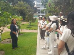 Promueven la salud preventiva a través de más de 200 plantas Medicinales