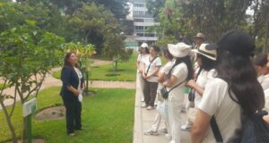 Promueven la salud preventiva a través de más de 200 plantas Medicinales