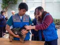 Golpe de calor en mascotas: Vecinos de Lince aprenden a identificar y prevenir esta emergencia