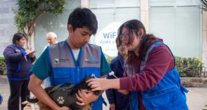 Golpe de calor en mascotas: Vecinos de Lince aprenden a identificar y prevenir esta emergencia