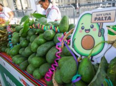 MIDAGRI conecta el campo arequipeño y la ciudad en la feria “Más cerca del Perú”