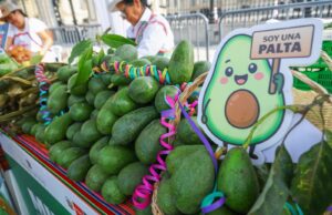 MIDAGRI conecta el campo arequipeño y la ciudad en la feria “Más cerca del Perú”