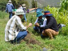 MIDAGRI impulsó la reforestación con la instalación de más de 15 millones de plantones forestales