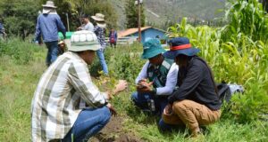 MIDAGRI impulsó la reforestación con la instalación de más de 15 millones de plantones forestales