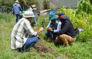 MIDAGRI impulsó la reforestación con la instalación de más de 15 millones de plantones forestales