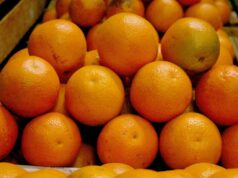 Perú, potencia agroexportadora: MIDAGRI buscará concretar 16 nuevos accesos en el 2026