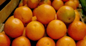 Perú, potencia agroexportadora: MIDAGRI buscará concretar 16 nuevos accesos en el 2026