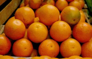 Perú, potencia agroexportadora: MIDAGRI buscará concretar 16 nuevos accesos en el 2026