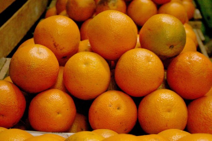 Perú, potencia agroexportadora: MIDAGRI buscará concretar 16 nuevos accesos en el 2026