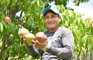 Perú exportó casi US$ 7 mil millones en frutas y hortalizas el 2025
