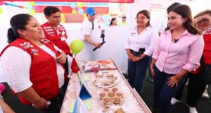 Ministra Lesly Shica participó en Intervención Multisectorial en Ica liderada por el presidente José Jerí