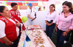 Ministra Lesly Shica participó en Intervención Multisectorial en Ica liderada por el presidente José Jerí