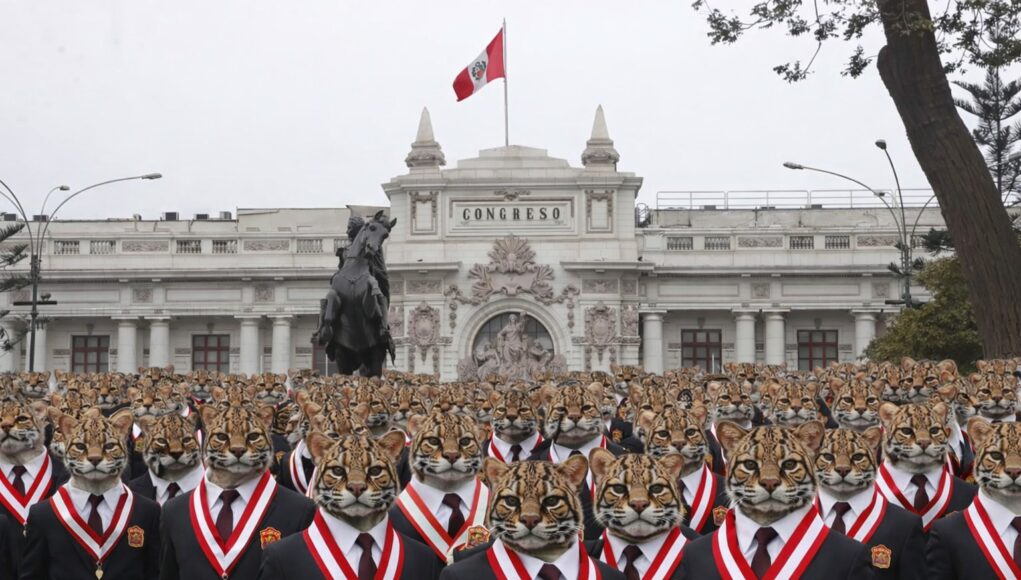 ¡QUÉ TAL OSTRA! ‘Ototongos’ tienen la mesa servida con S/1,768 millones