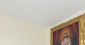 Un estado desorganizado no puede combatir criminales organizados