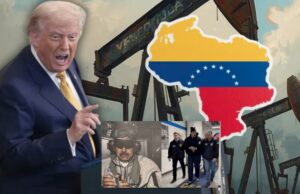 No era amor al chancho sino al petróleo