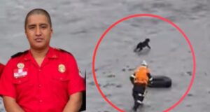 El policía y el perro que el Estado no supo salvar