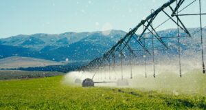 Nuevo centro de innovación invierte en el futuro de la agricultura de Perú y Latinoamérica