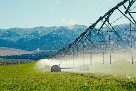 Nuevo centro de innovación invierte en el futuro de la agricultura de Perú y Latinoamérica